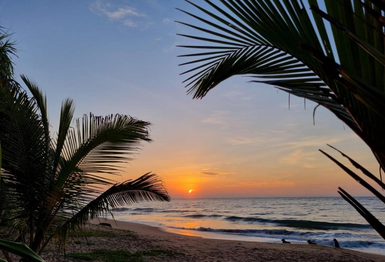 Golden Beach Paradise Tangalle Exterior photo